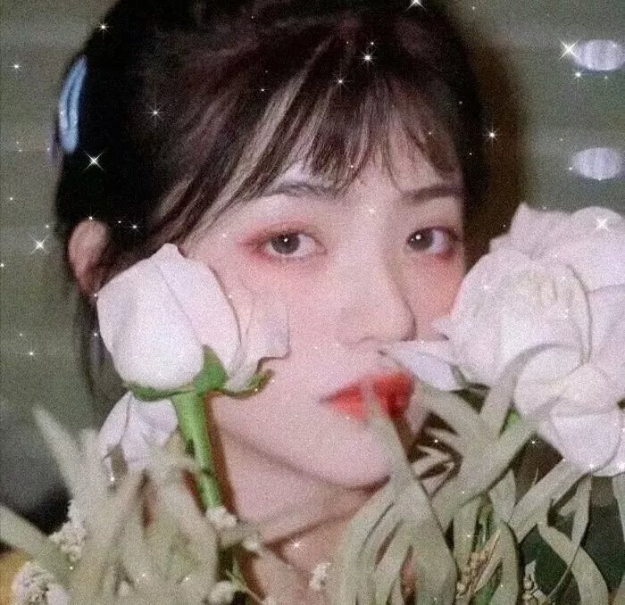 留爱 封面